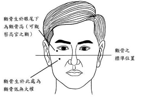 顴骨飽滿面相|面相算命顴骨圖解